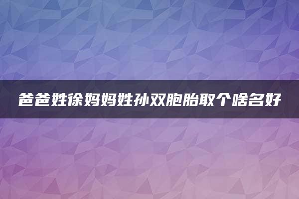 爸爸姓徐妈妈姓孙双胞胎取个啥名好