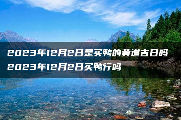 2023年12月2日是买鸭的黄道吉日吗 2023年12月2日买鸭行吗