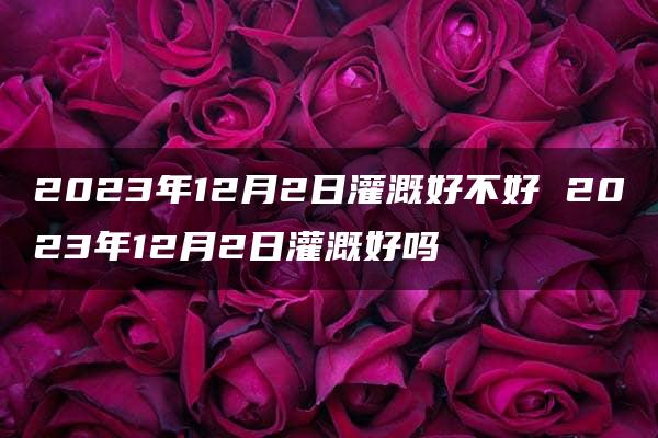 2023年12月2日灌溉好不好 2023年12月2日灌溉好吗