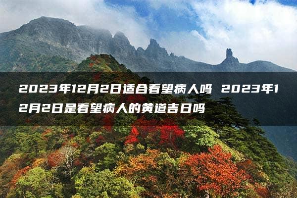 2023年12月2日适合看望病人吗 2023年12月2日是看望病人的黄道吉日吗