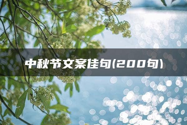 中秋节文案佳句(200句)