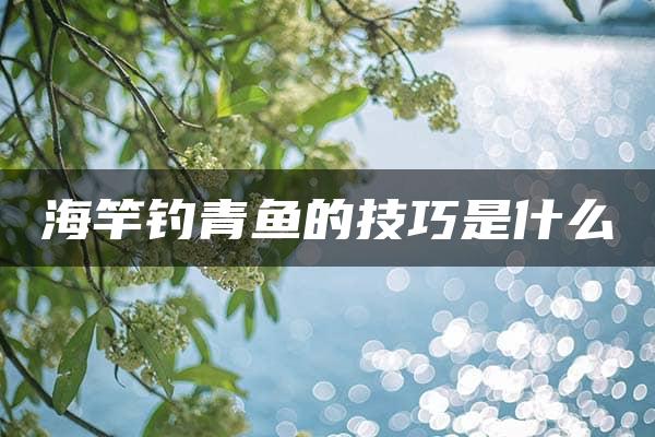 海竿钓青鱼的技巧是什么