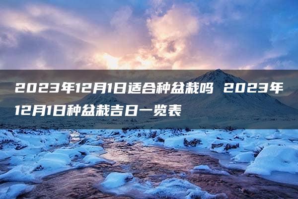 2023年12月1日适合种盆栽吗 2023年12月1日种盆栽吉日一览表