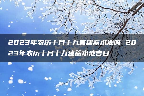 2023年农历十月十九宜建蓄水池吗 2023年农历十月十九建蓄水池吉日