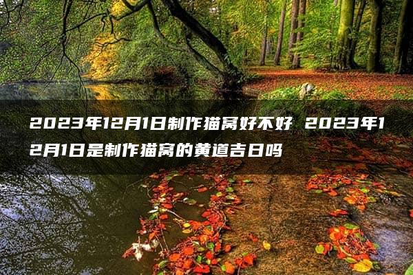 2023年12月1日制作猫窝好不好 2023年12月1日是制作猫窝的黄道吉日吗