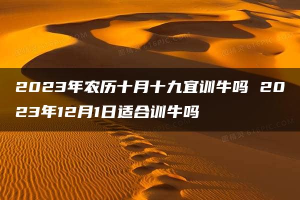 2023年农历十月十九宜训牛吗 2023年12月1日适合训牛吗