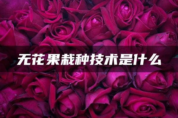 无花果栽种技术是什么