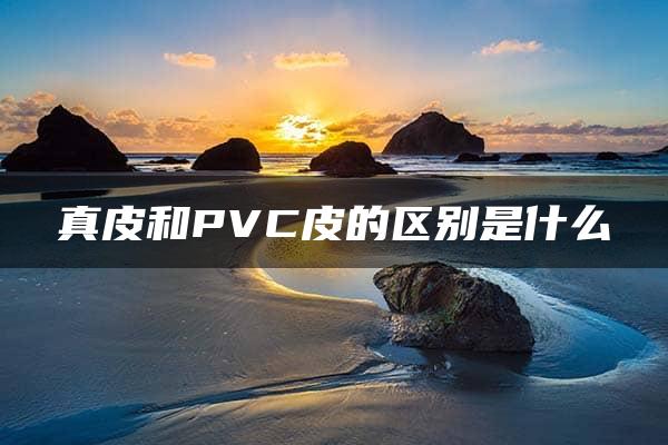 真皮和PVC皮的区别是什么