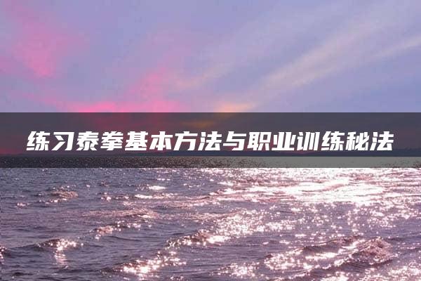 练习泰拳基本方法与职业训练秘法