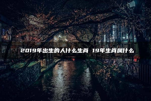 ​2019年出生的人什么生肖 19年生肖属什么