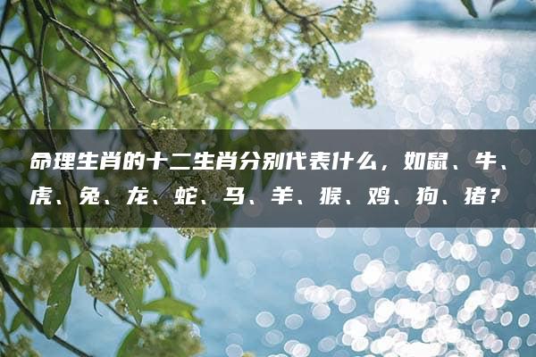 命理生肖的十二生肖分别代表什么，如鼠、牛、虎、兔、龙、蛇、马、羊、猴、鸡、狗、猪？