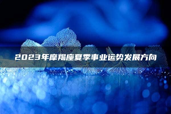 2023年摩羯座夏季事业运势发展方向