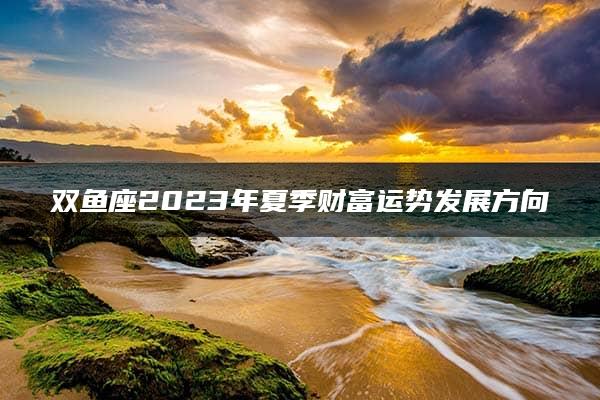 双鱼座2023年夏季财富运势发展方向