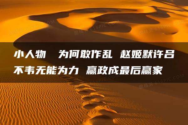 小人物嫪毐为何敢作乱 赵姬默许吕不韦无能为力 赢政成最后赢家