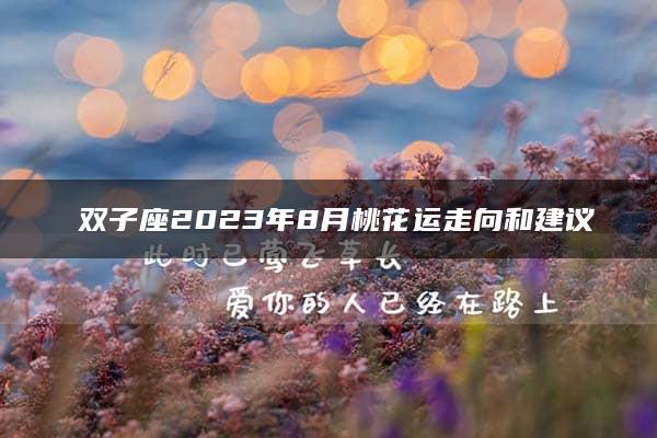 ​双子座2023年8月桃花运走向和建议