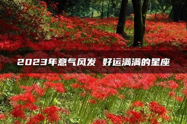 2023年意气风发 好运满满的星座