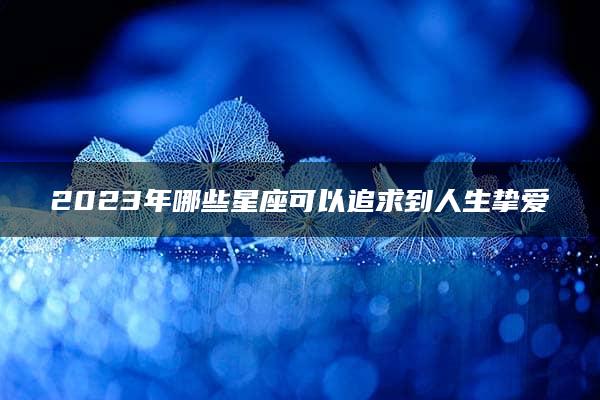 2023年哪些星座可以追求到人生挚爱