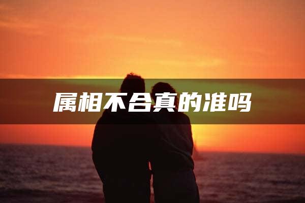 属相不合真的准吗