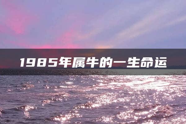 1985年属牛的一生命运