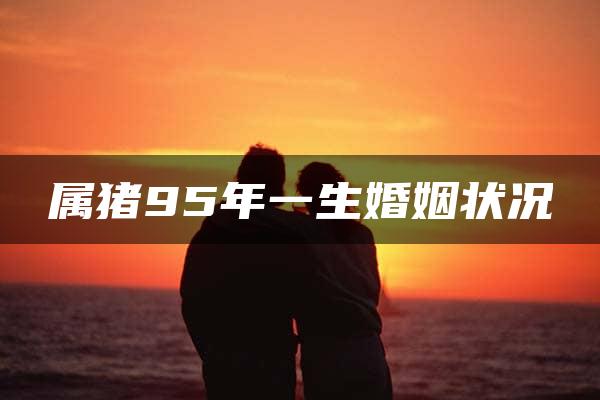 属猪95年一生婚姻状况