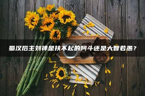 蜀汉后主刘禅是扶不起的阿斗还是大智若愚？