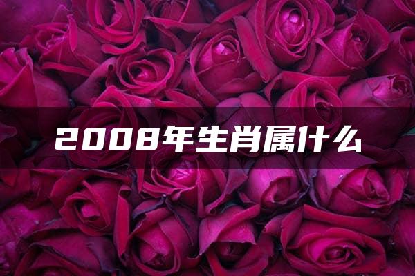 2008年生肖属什么