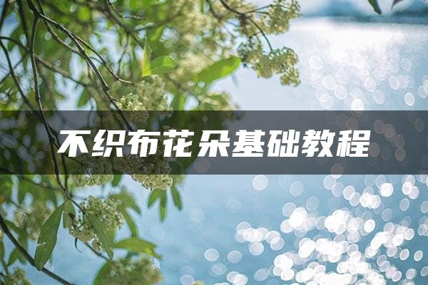 不织布花朵基础教程