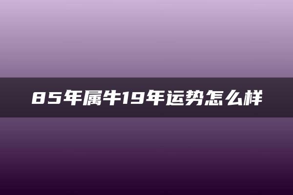 85年属牛19年运势怎么样