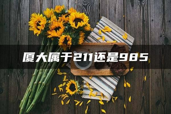 厦大属于211还是985