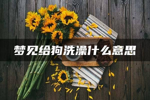 梦见给狗洗澡什么意思