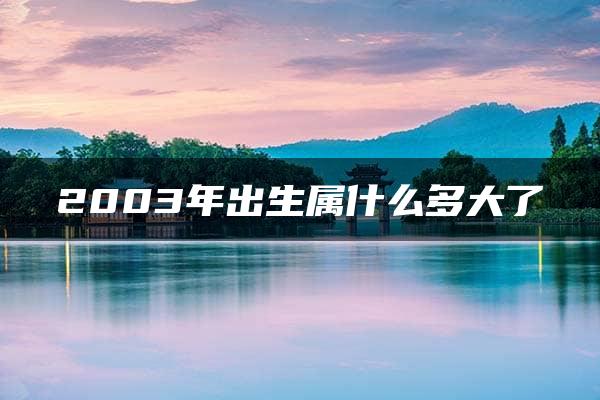 2003年出生属什么多大了