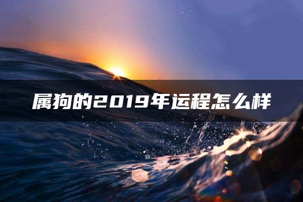 属狗的2019年运程怎么样