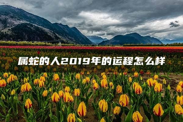 属蛇的人2019年的运程怎么样