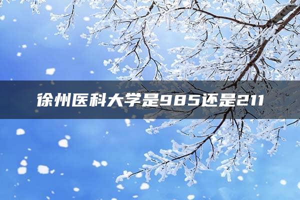 徐州医科大学是985还是211