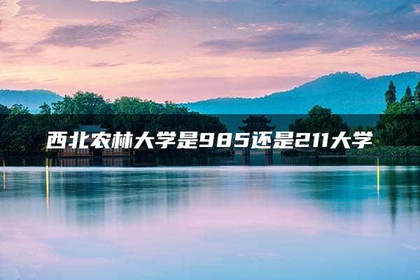 西北农林大学是985还是211大学