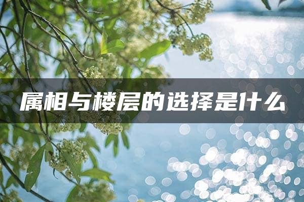 属相与楼层的选择是什么