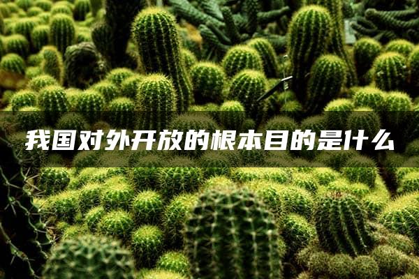 我国对外开放的根本目的是什么