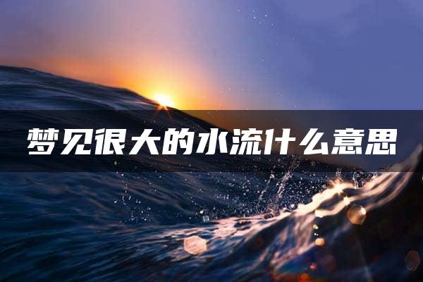 梦见很大的水流什么意思