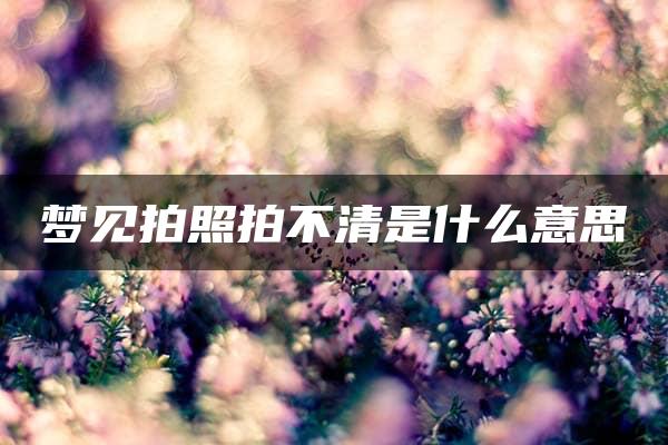 梦见拍照拍不清是什么意思