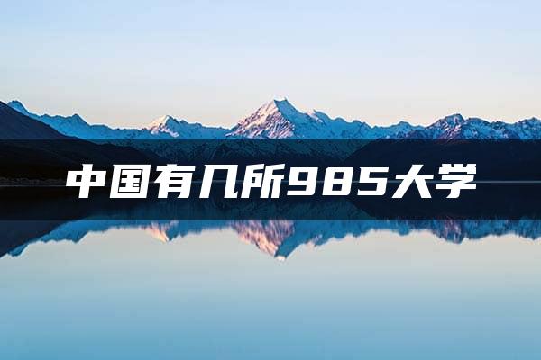 中国有几所985大学