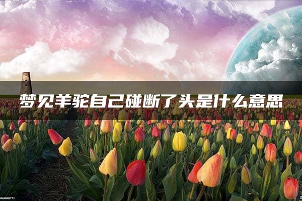 梦见羊驼自己碰断了头是什么意思