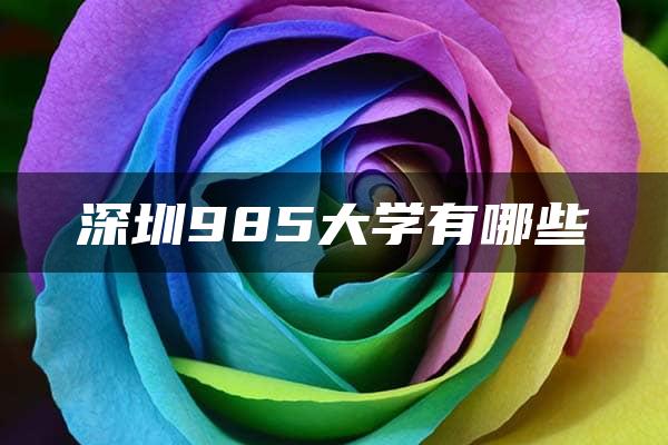 深圳985大学有哪些