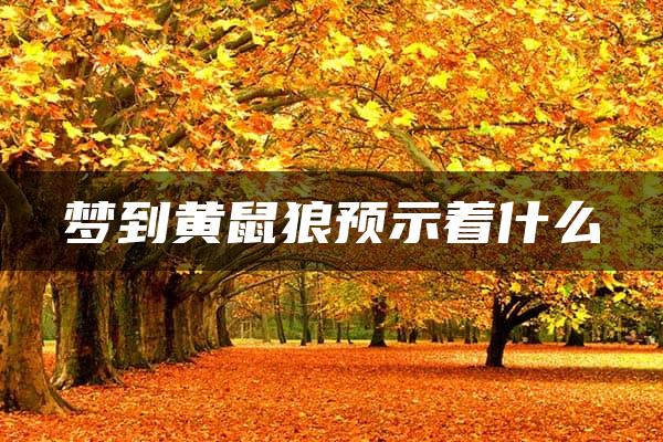 梦到黄鼠狼预示着什么