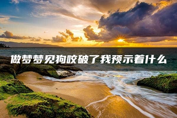 做梦梦见狗咬破了我预示着什么