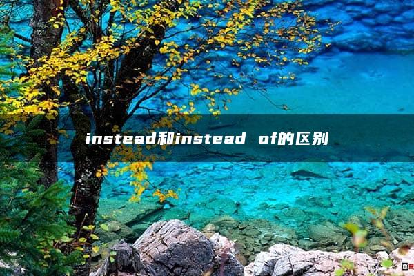 instead和instead of的区别