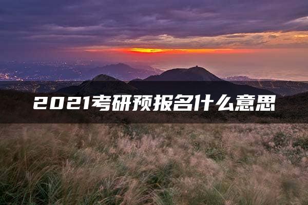 2021考研预报名什么意思