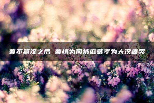 曹丕篡汉之后 曹植为何披麻戴孝为大汉痛哭