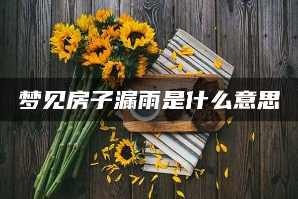 梦见房子漏雨是什么意思