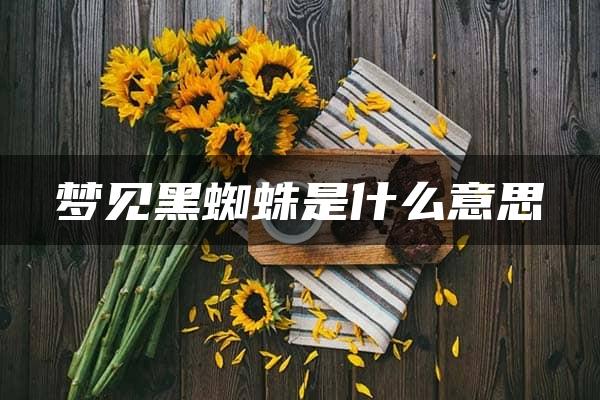 梦见黑蜘蛛是什么意思