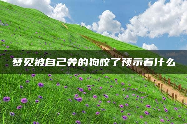 梦见被自己养的狗咬了预示着什么